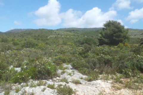 Land in Zakynthos, Greece No. 24603 15