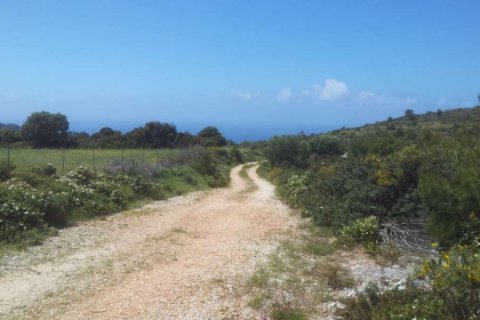 Land in Zakynthos, Greece No. 24603 17