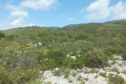 Land in Zakynthos, Greece No. 24603 10