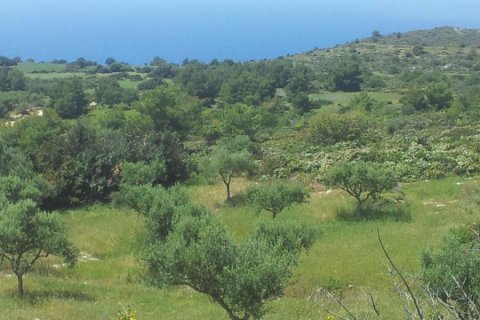 Land in Zakynthos, Greece No. 24603 2