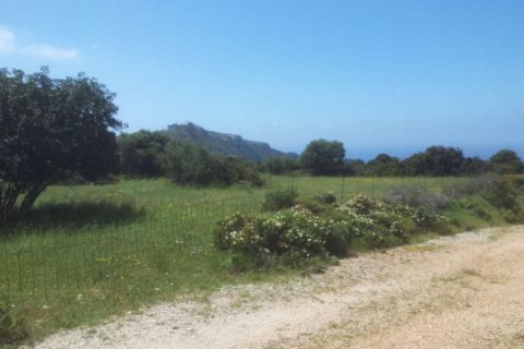 Land in Zakynthos, Greece No. 24603 8