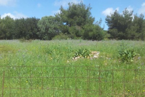 Land in Zakynthos, Greece No. 24603 16