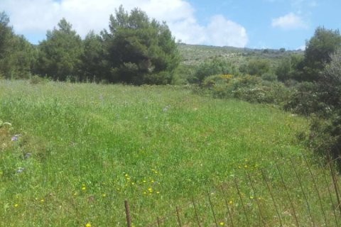 Land in Zakynthos, Greece No. 24603 5