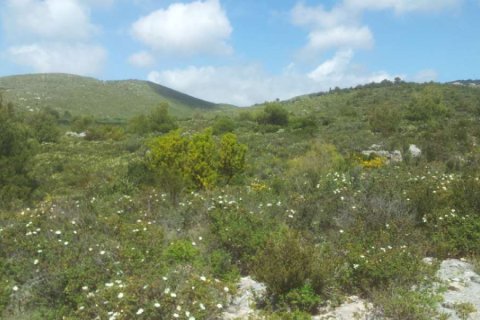 Land in Zakynthos, Greece No. 24603 9