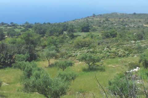 Land en Zakynthos, Greece No. 24603 14