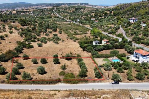 4350m² Land in Chalkidiki, Greece No. 54256 3