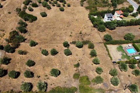 4350m² Land in Chalkidiki, Greece No. 54256 5