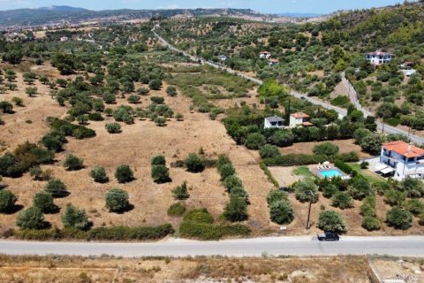 4350m² Land in Chalkidiki, Greece No. 54256 6