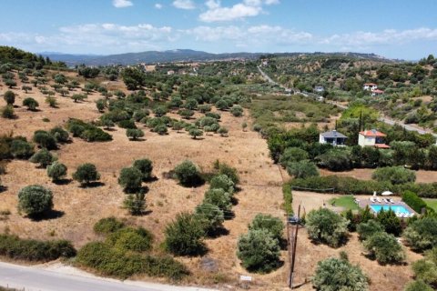 4350m² Land in Chalkidiki, Greece No. 54256 7