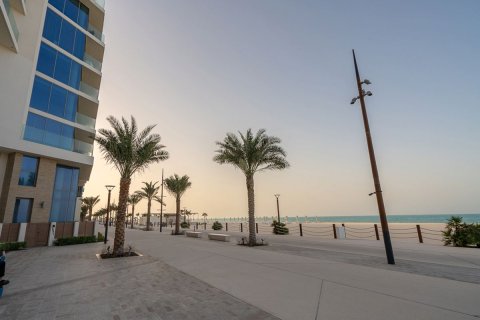 2 bedrooms Apartment on the Saadiyat Cultural District, UAE No. 5707 26