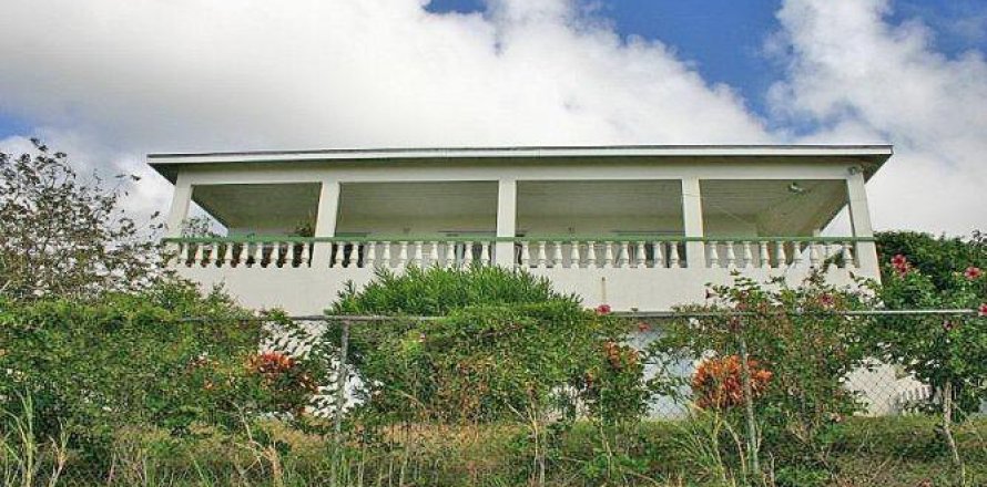 5 chambres Villa à Basseterre, Saint Kitts and Nevis No. 61561