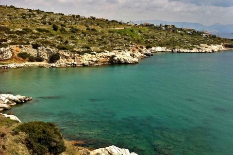 9000m² Land in Salamis, Greece No. 59824 1