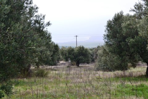 34000m² Land en Polygyros, Greece No. 59825 1