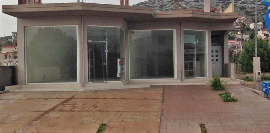 250m² Business in Chalcis, Greece No. 59822