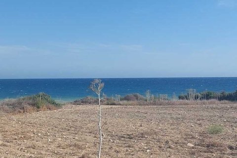 3052m² Land à Mazotos, Cyprus No. 64460 1