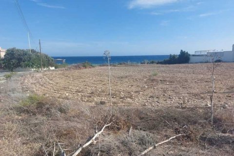 3052m² Land à Mazotos, Cyprus No. 64460 2