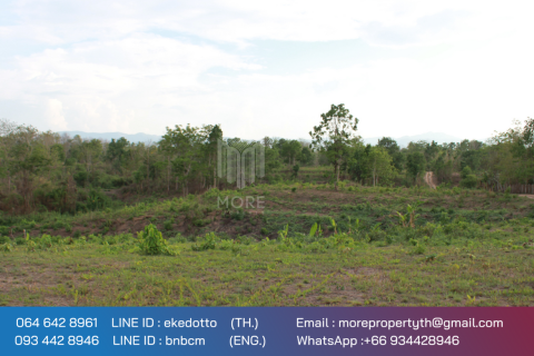 20 dormitorios Land en Chiang Mai, Thailand No. 2180 10