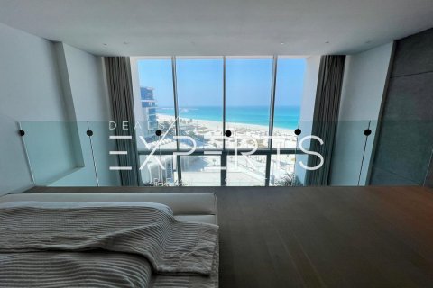 1 bedroom Apartment on the Saadiyat Cultural District, UAE No. 80166 12