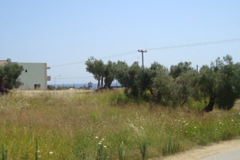 16500m² Land en Chalkidiki, Greece No. 60682 3