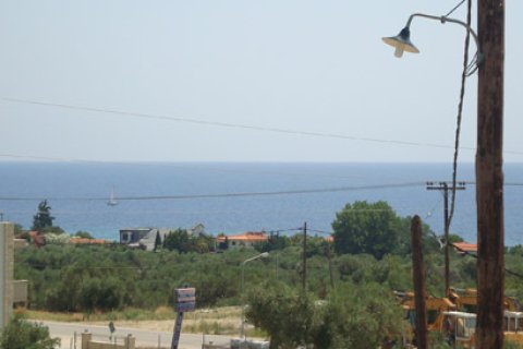 16500m² Land in Chalkidiki, Greece No. 60682 4