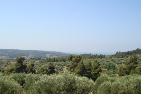 14300m² Land en Chalkidiki, Greece No. 60681 1