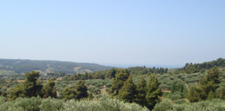 14300m² Land in Chalkidiki, Greece No. 60681