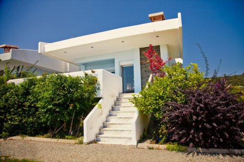 4 chambres House à Chalkidiki, Greece No. 60698 16