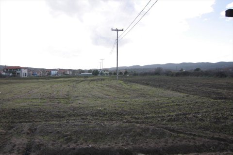 18800m² Land à Chalkidiki, Greece No. 60696 3