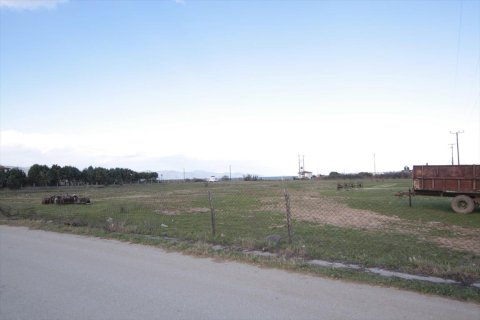 18800m² Land à Chalkidiki, Greece No. 60696 5