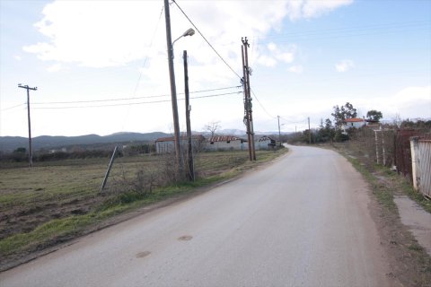 18800m² Land in Chalkidiki, Greece No. 60696 4