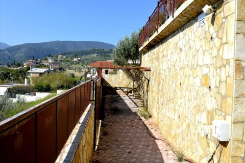 4 bedrooms Villa in Corinthia, Greece No. 58823 15