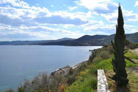 15000m² Land en Chalkidiki, Greece No. 58827 6