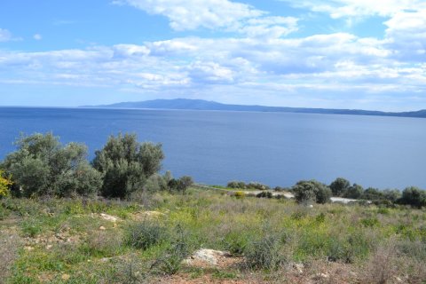 15000m² Land à Chalkidiki, Greece No. 58827 4