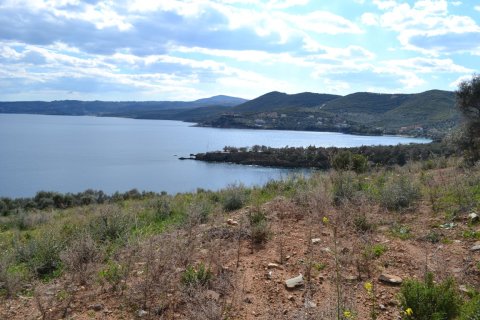 15000m² Land in Chalkidiki, Greece No. 58827 2