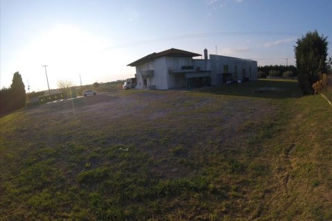 740m² Negocio en Thermi, Greece No. 58831 2