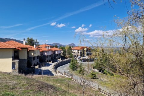 3219m² Hotel à Grevena, Greece No. 55442 6