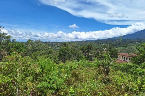 Granja en Boquete, Panama No. 70602 3