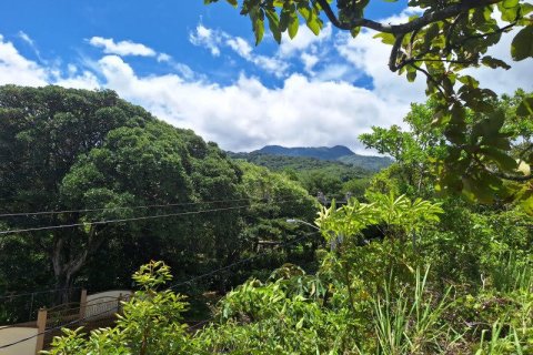 Granja en Boquete, Panama No. 70602 4