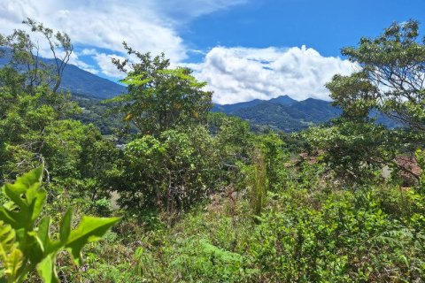 Granja en Boquete, Panama No. 70602 6