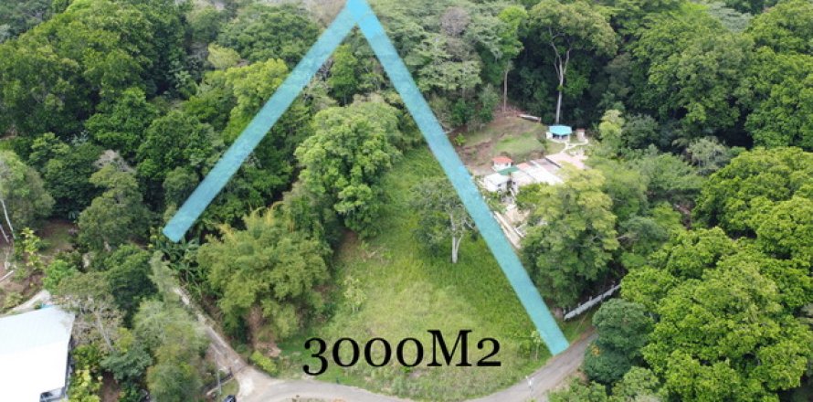 3000m² Land en Panamá, Panama No. 70604