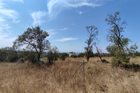 4800m² Land à Thermaic Gulf, Greece No. 55397 2