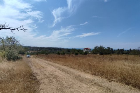 4800m² Land à Thermaic Gulf, Greece No. 55397 4