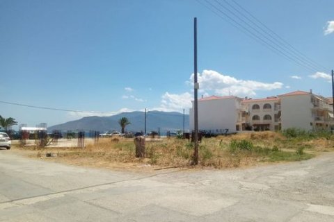 2030m² Land in Arcadia, Greece No. 55021 11