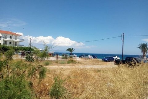 2030m² Land in Arcadia, Greece No. 55021 13