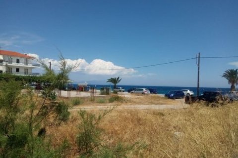 2030m² Land in Arcadia, Greece No. 55021 10