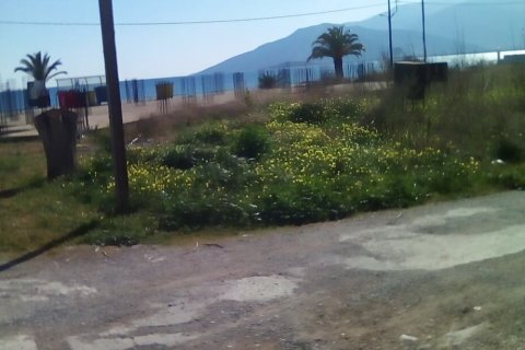 2030m² Land in Arcadia, Greece No. 55021 3