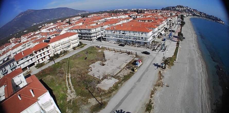 2030m² Land in Arcadia, Greece No. 55021