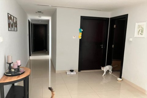 2 chambres Appartement à Shams Abu Dhabi, UAE No. 6045 7