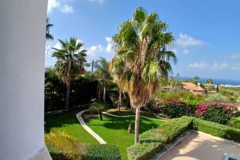 5 bedrooms Villa in Pegeia, Cyprus No. 62706 6