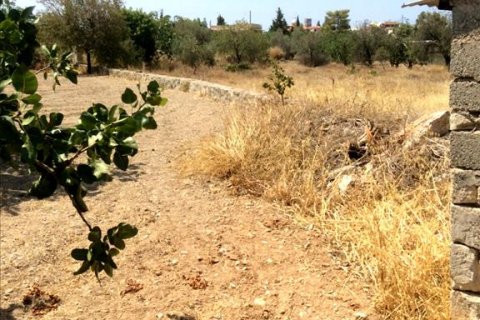 3 bedrooms Land in Aegina, Greece No. 58943 11